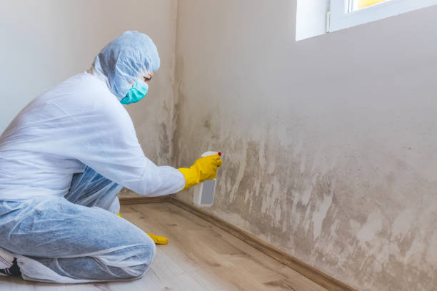 Licensed Bathroom Mold Removal service in Midland, VA - WQB Mold Removal