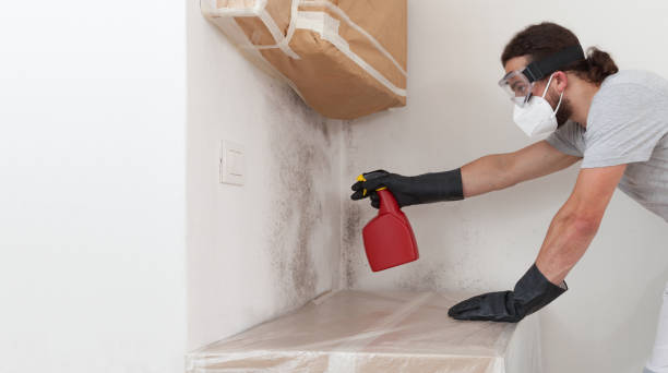 Professional Bathroom Mold Removal technician working in Midland, VA