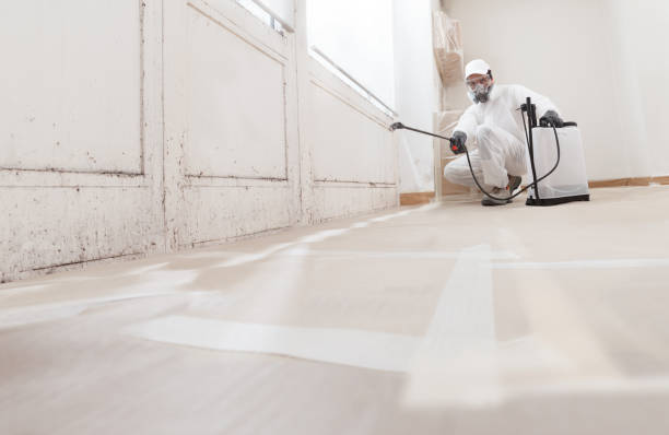 24/7 Emergency Bathroom Mold Removal experts in Midland, VA