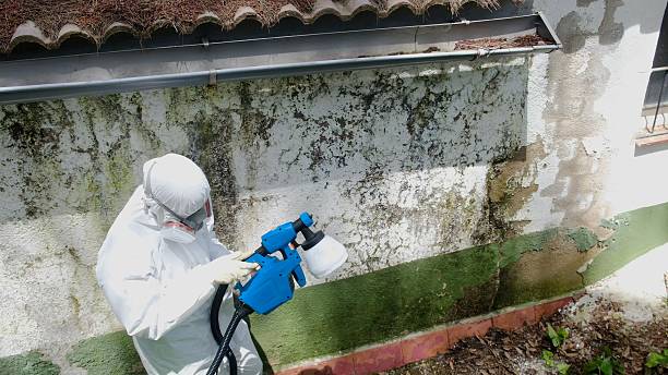 Top rated local Bathroom Mold Removal specialists in Midland, VA